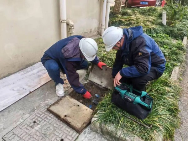 圖片 2.jpg